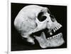 Skull Profile, 1952-Brett Weston-Framed Photographic Print