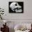 Skull Profile, 1952-Brett Weston-Mounted Photographic Print displayed on a wall