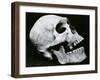 Skull Profile, 1952-Brett Weston-Framed Premium Photographic Print