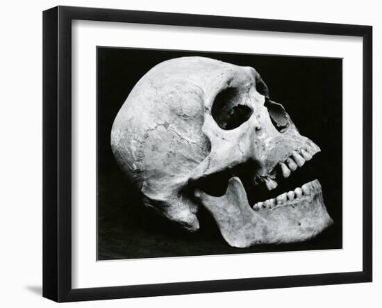 Skull Profile, 1952-Brett Weston-Framed Premium Photographic Print