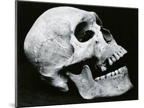 Skull Profile, 1952-Brett Weston-Mounted Premium Photographic Print