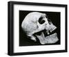 Skull Profile, 1952-Brett Weston-Framed Photographic Print