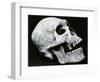 Skull Profile, 1952-Brett Weston-Framed Photographic Print