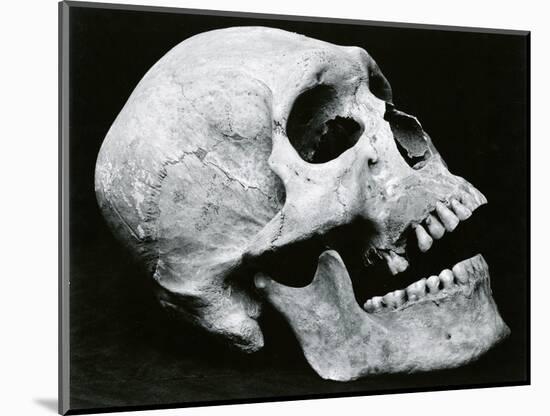 Skull Profile, 1952-Brett Weston-Mounted Photographic Print