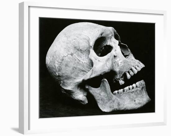 Skull Profile, 1952-Brett Weston-Framed Photographic Print