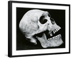 Skull Profile, 1952-Brett Weston-Framed Photographic Print