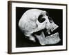 Skull Profile, 1952-Brett Weston-Framed Photographic Print