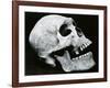 Skull Profile, 1952-Brett Weston-Framed Photographic Print