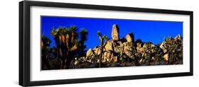 Skull Rock and Joshua trees at Joshua Tree National Park, California, USA-null-Framed Photographic Print