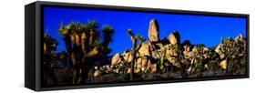 Skull Rock and Joshua trees at Joshua Tree National Park, California, USA-null-Framed Stretched Canvas