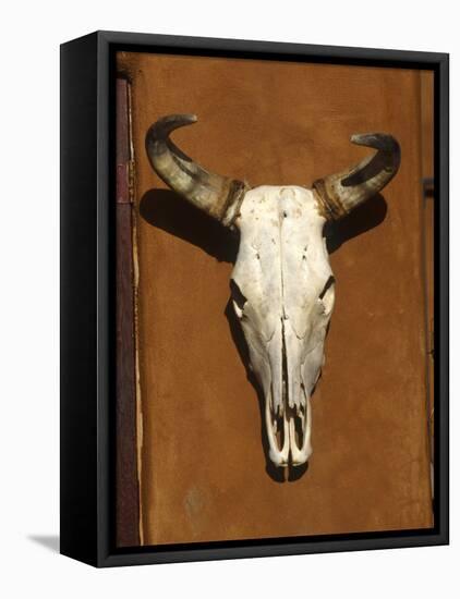 Skull, Santa Fe, NM-null-Framed Stretched Canvas