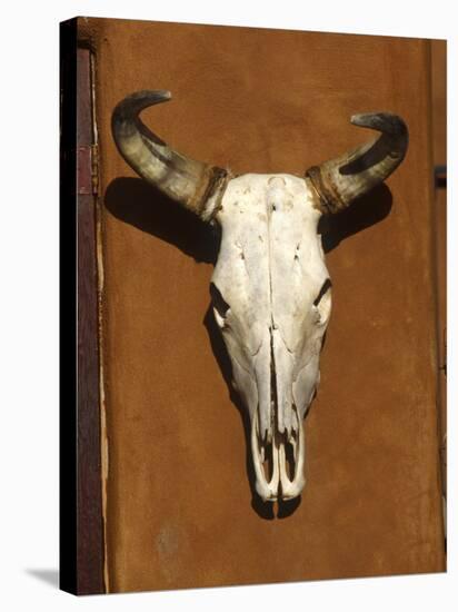 Skull, Santa Fe, NM-null-Stretched Canvas