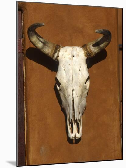 Skull, Santa Fe, NM-null-Mounted Premium Photographic Print