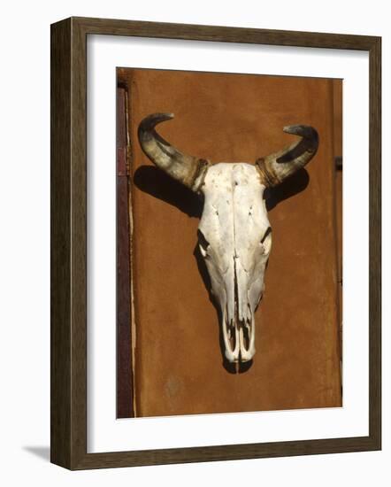 Skull, Santa Fe, NM-null-Framed Photographic Print