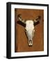 Skull, Santa Fe, NM-null-Framed Photographic Print