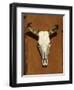 Skull, Santa Fe, NM-null-Framed Premium Photographic Print