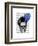 Skull with Blue Hat-Fab Funky-Framed Art Print