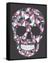 Skull With Geometric Pattern-cherry blossom girl-Framed Stretched Canvas