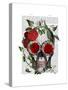 Skull with Roses and Vines-Fab Funky-Stretched Canvas