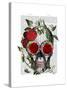 Skull with Roses and Vines-Fab Funky-Stretched Canvas