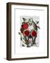 Skull with Roses and Vines-Fab Funky-Framed Art Print