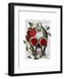 Skull with Roses and Vines-Fab Funky-Framed Art Print