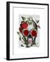 Skull with Roses and Vines-Fab Funky-Framed Art Print