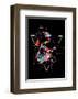 Skull X (color)-Balazs Solti-Framed Art Print