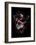 Skull X (color)-Balazs Solti-Framed Art Print