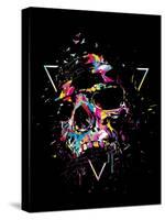 Skull X (color)-Balazs Solti-Stretched Canvas