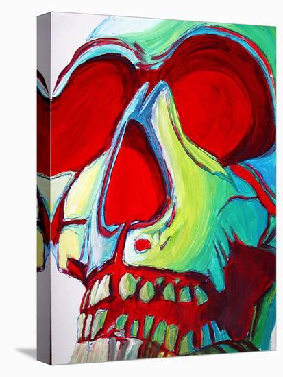 Skull-Megan Aroon Duncanson-Stretched Canvas