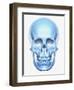 Skull-Matthias Kulka-Framed Premium Giclee Print