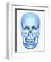 Skull-Matthias Kulka-Framed Premium Giclee Print