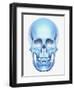 Skull-Matthias Kulka-Framed Giclee Print