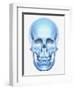 Skull-Matthias Kulka-Framed Giclee Print