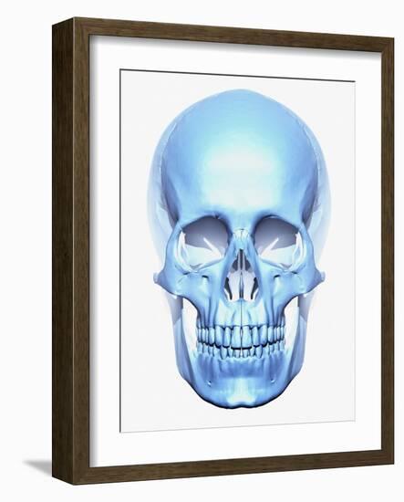 Skull-Matthias Kulka-Framed Giclee Print