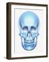 Skull-Matthias Kulka-Framed Giclee Print