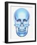 Skull-Matthias Kulka-Framed Giclee Print