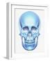 Skull-Matthias Kulka-Framed Giclee Print