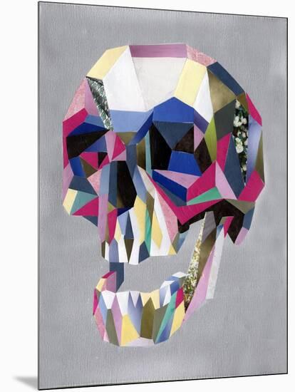 Skull-Artpoptart-Mounted Giclee Print