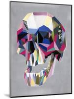 Skull-Artpoptart-Mounted Giclee Print