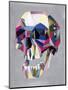 Skull-Artpoptart-Mounted Giclee Print