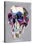 Skull-Artpoptart-Stretched Canvas