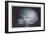 Skull-null-Framed Art Print