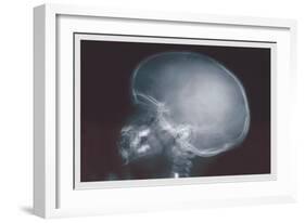 Skull-null-Framed Art Print