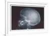 Skull-null-Framed Art Print