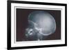 Skull-null-Framed Art Print