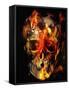 Skullfire-Mark Gordon-Framed Stretched Canvas