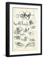 Skulls, 1863-79-Raimundo Petraroja-Framed Giclee Print