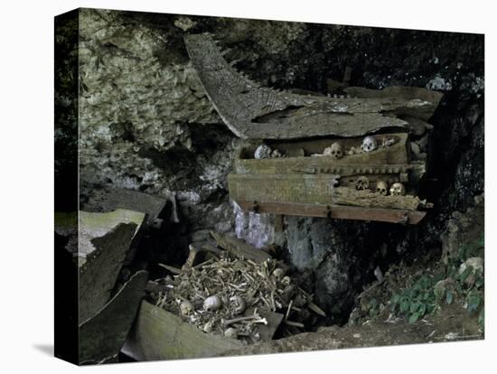 Skulls and Boat Remains, Indonesia-Michael Brown-Stretched Canvas